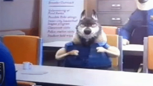 tumblr_o5sh5luVCQ1vrvp01o1_500