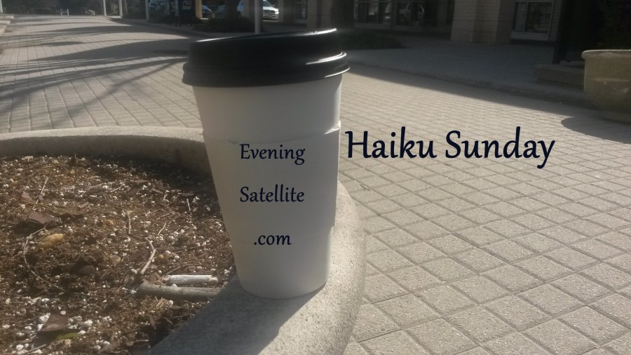 Haiku Sunday weekly haiku series poetry, Steve D'Adamo
