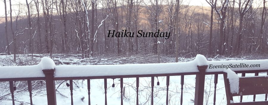 Haiku Sunday, weekly haiku, Steve D'Adamo, mountains, snow, forest, woods